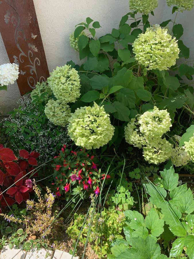 La Glycine B&B Sainte-Colombe  외부 사진