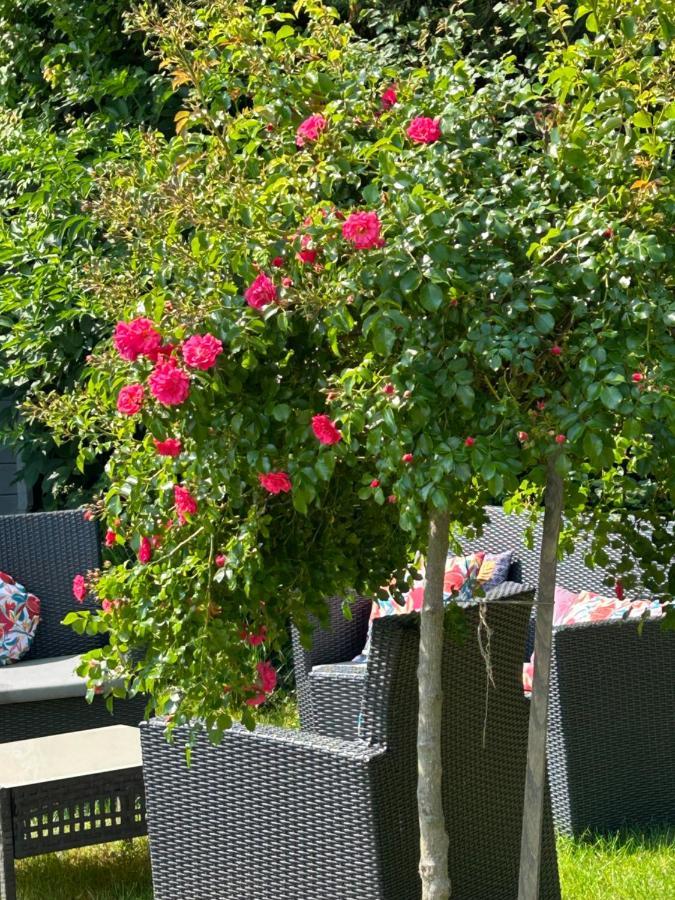 La Glycine B&B Sainte-Colombe  외부 사진